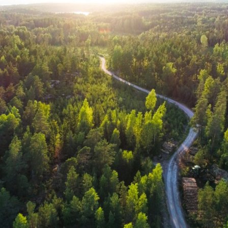 Aerial,Over,A,Winding,Forest,Road,In,Finland,,During,Sunset