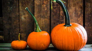 Colorful pumpkins on wooden background