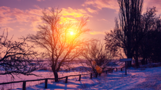 rich purple, red sunset in winter