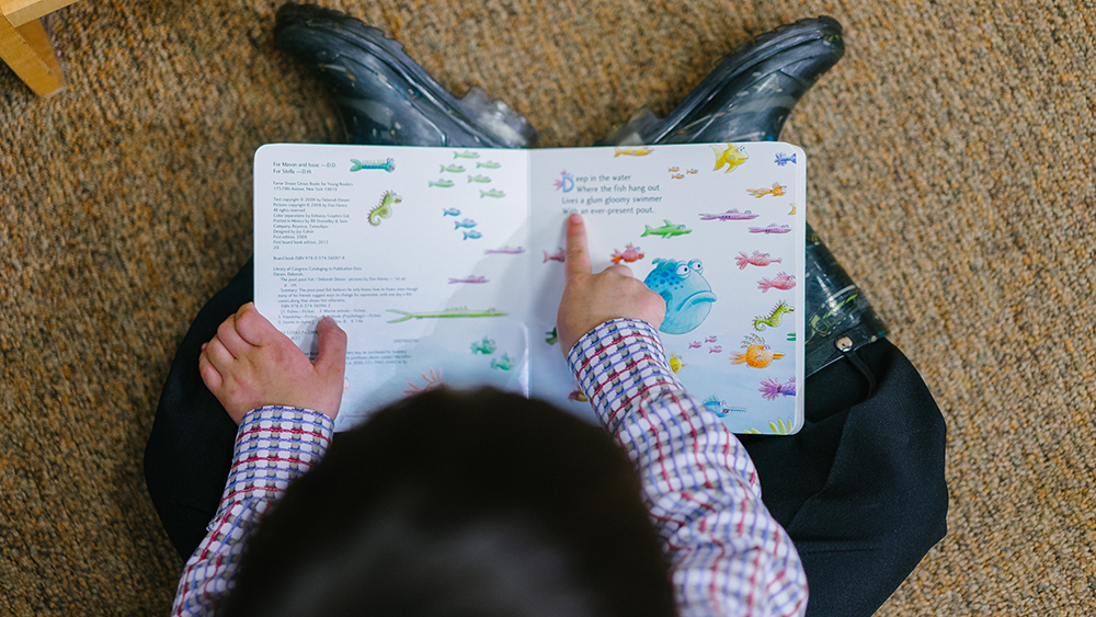 boy reading a book