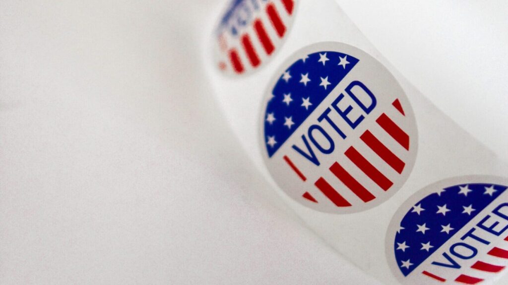 I voted sticker - Democracy