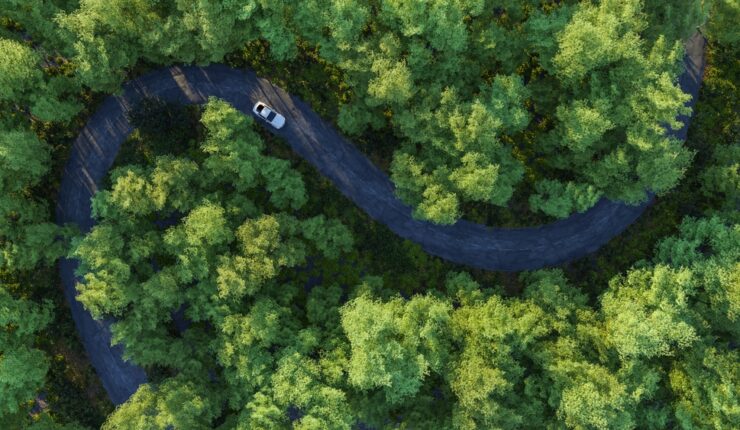 Aerial view or car driving on winding road through a forest