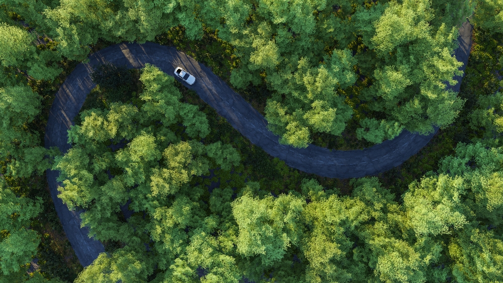 Aerial view or car driving on winding road through a forest