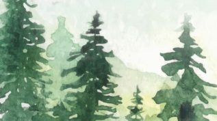 watercolor pine trees
