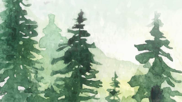 watercolor pine trees